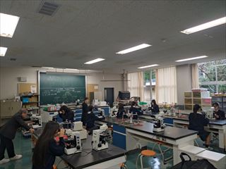 【未来への懸け橋】 -Brücke in die Zukunft-