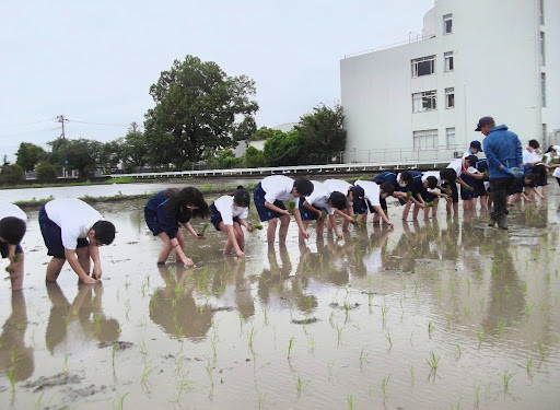 中学1年生 総合学習